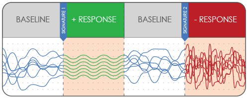 Dynamic baseline and response